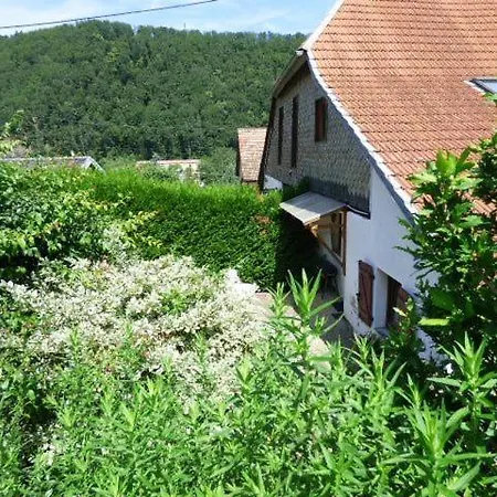 Διαμέρισμα Le Logis Du Mineur Sainte-Marie-aux-Mines